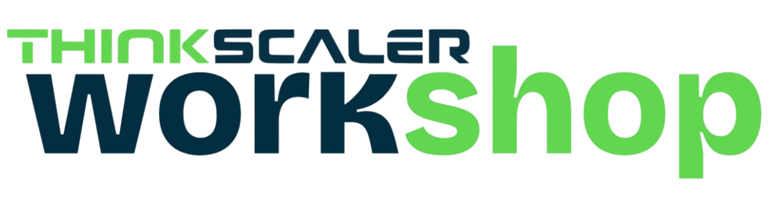 Thinkscaler Workshop Header Logo - Web